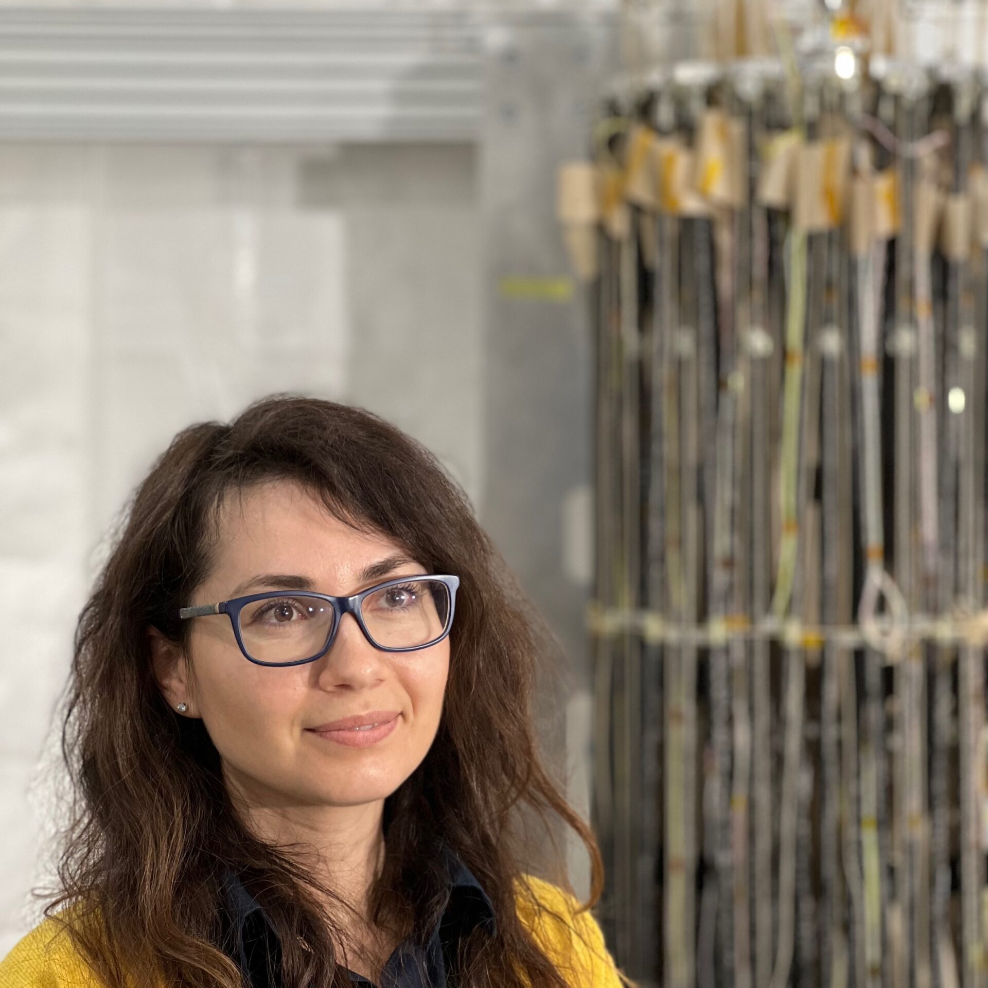Dr. Anna Arsenyeva